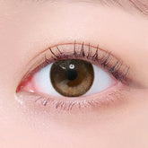 Lenstown To Better Big 1-Day Brown (10 Pack)